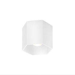 Plafondarmatuur HEXO CEILING SURF 1.0 1-vlams, DALI aanstuurbaar IP20, wit mat dimbaar
