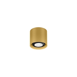 Spot RAY MINI CEILING SURF 1.0 PAR16 GU10 IP20, goud 