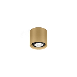 Spot RAY MINI CEILING SURF 1.0 PAR16 GU10 IP20, champagne dimbaar