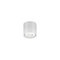 Spot RAY MINI CEILING SURF 1.0 PAR16 GU10 IP20, wit mat 