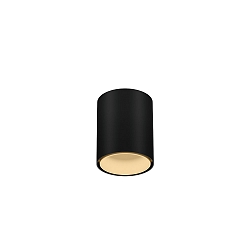 Downlight RAY MINI 1.0 down, cilindrisch, opbouwversie IP20, zwart mat dimbaar