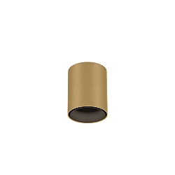 Downlight RAY MINI 1.0 down, cilindrisch, opbouwversie IP20, champagne dimbaar