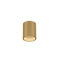 Downlight RAY MINI 1.0 down, cilindrisch, opbouwversie IP20, champagne dimbaar