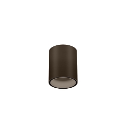 Downlight RAY MINI 1.0 down, cilindrisch, opbouwversie IP20, brons dimbaar
