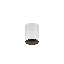 Downlight RAY MINI 1.0 down, cilindrisch, opbouwversie IP20, wit mat dimbaar