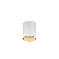 Downlight RAY MINI 1.0 down, cilindrisch, opbouwversie IP20, wit mat dimbaar