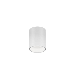 Downlight RAY MINI 1.0 down, cilindrisch, opbouwversie IP20, wit mat dimbaar