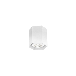 Downlight HEXO MINI 1.0 zonder reflector GU10 IP20, wit mat