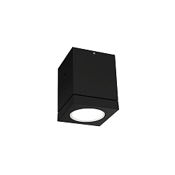 Plafondarmatuur voor buiten TUBE 1.0 IP65, zwart dimbaar