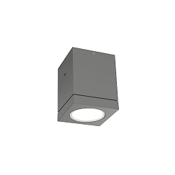 Plafondarmatuur voor buiten TUBE 1.0 IP65, donkergrijs dimbaar