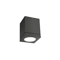Plafondarmatuur voor buiten TUBE CARR� 1.0 LED PHASE down, hoekig, stijf IP65, antraciet dimbaar