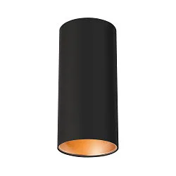 Plafondarmatuur ANELA CL, zwart dimbaar