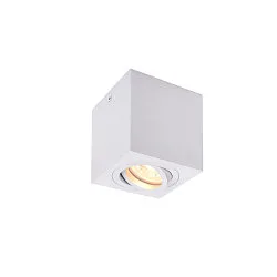 Plafondarmatuur TRILEDO draaibaar, single GU10, wit dimbaar