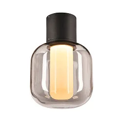 Plafondarmatuur voor buiten OVALISK CL LED CCT Switch IP65, antraciet 
