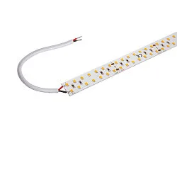 LED stripe GRAZIA PRO MAX FLEXSTRIP IP20, wit