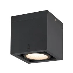 Plafondarmatuur voor buiten ESKINA FRAME CL SINGLE CCT 1-vlams, CCT Switch, instelbaar IP65, antraciet 