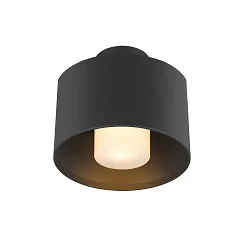 Plafondarmatuur voor buiten PHOTONI CYL cilindrisch, met afstandhouder E27 IP65, zwart mat dimbaar