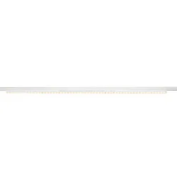 3-phase spot SIGHT EASY 41-66W DALI rigid, DALI controllable, asymmetrical, multipower IP20, white dimmable