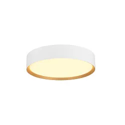 Plafondarmatuur DECONA 30 CL rond, geschikt voor beeldschermwerkstations IP44, goud, wit, gelakt dimbaar