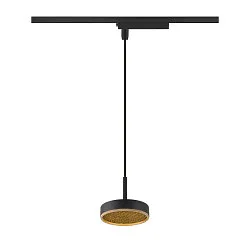 1-fase pendelarmatuur GRIP! FLAT down, zonder lampenkap, CCT Switch IP20, goud, zwart dimbaar
