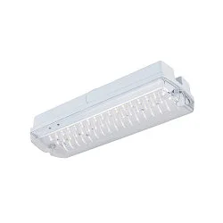 Wand- en plafondarmatuur P-LIGHT hoekig IP65, transparant, wit, gelakt 