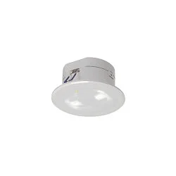 Noodverlichting P-LIGHT LED, wit