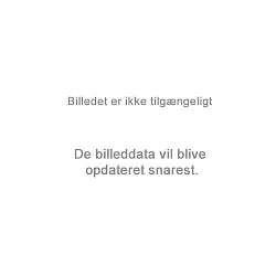 Lampenkap voor TONGA IV