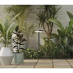 Lichtpaal SHEDIR 2076 IP65, antraciet