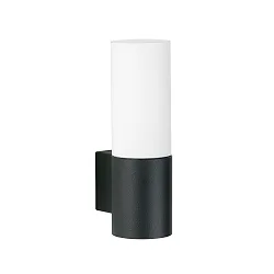 Wandarmatuur voor buitenshuis TYPE NO 0277 cilindrisch, dimbaar IP54, zwart mat dimbaar