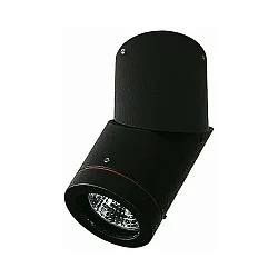 Plafondarmatuur voor buiten TYPE NO 2138 draaibaar, roteerbaar GU10 IP44, zwart dimbaar
