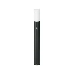 Paallamp TYPE NO 2278 dimbaar, met Bewegingsmelder IP44, zwart mat dimbaar