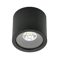 Plafondarmatuur voor buiten TYPE NO 2319 draaibaar IP44, zwart mat dimbaar