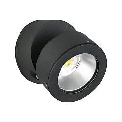 Buitenspot TYPE NO 2389 dimbaar, instelbaar IP54, zwart mat dimbaar