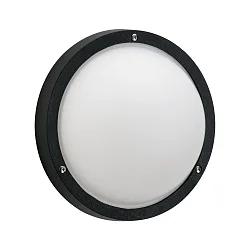 Wandarmatuur voor buitenshuis TYPE NO 6328 IP44, opaal, zwart dimbaar