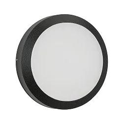outdoor wall luminaire TYPE NO 6420 IP54, black dimmable