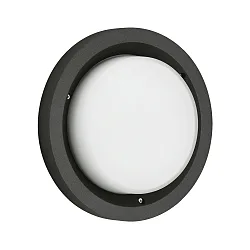 outdoor wall luminaire TYPE NO 6421 IP54, opal, black dimmable