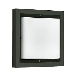 outdoor wall luminaire TYPE NO 6422 IP54, opal, black dimmable