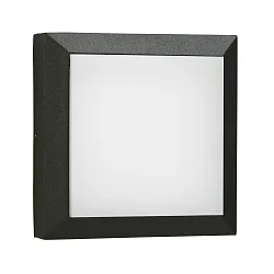 Wand- en plafondarmatuur TYPE NO 6560 klein, vierkant, dimbaar, slagvast IP54, zwart mat dimbaar