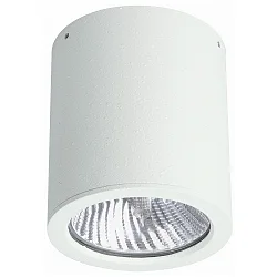 Outdoor Ceiling spot Type No. 2130, IP44, Ø 11cm / H 12.5cm, E27 PAR30 max. 75W, rigid, white