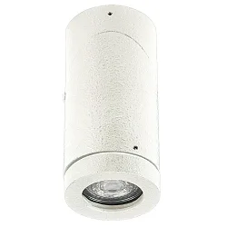 Plafondarmatuur voor buiten TYPE NO 2138 draaibaar, roteerbaar GU10 IP44, wit dimbaar