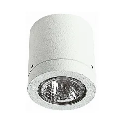 Plafondarmatuur voor buiten TYPE NO 2140 stijf GU10 IP23, wit dimbaar