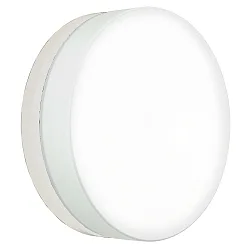 Wand- en plafondarmatuur TYPE NO 6309 groot, rond IP65, opaal, wit mat 