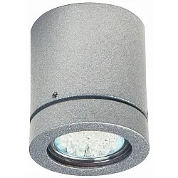 Plafondarmatuur voor buiten TYPE NO 2140 stijf GU10 IP23, zilver mat dimbaar