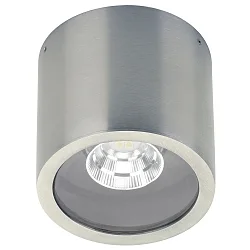 LED Outdoor Ceiling spot Type No. 2318, IP44, Ø 10.3cm, 8W 800lm 3000K 30°, swiveling 30°, stainless steel