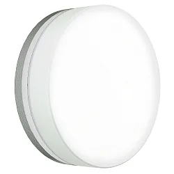 Wand- en plafondarmatuur TYPE NO 6308 rond, medium IP65, opaal, zilver mat 