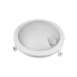 Armatuur voor vochtige ruimten BASIS FIX SENSOR rond IP54, grijs 