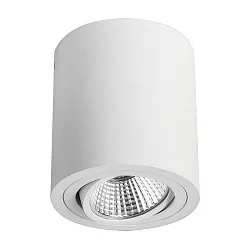 Downlight rond, draaibaar IP20