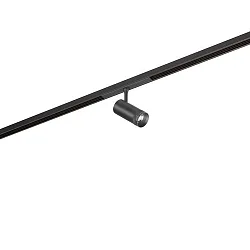 Spotlight op rail PEPA RONDO 25°-55° / 8W cilindrisch, DALI aanstuurbaar, focusseerbaar IP20, zwart mat dimbaar