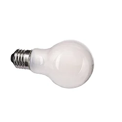 LED lichtbron CLA75 E27 7,5W 1055lm 2700K 360° CRI 80 dimbaar