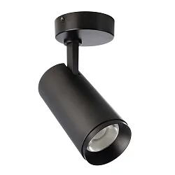 Plafondarmatuur LUCEA TILT 15 CCT Switch, instelbaar IP20, transparant, gitzwart dimbaar